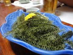 20110504miyako_oDSC07429.jpg